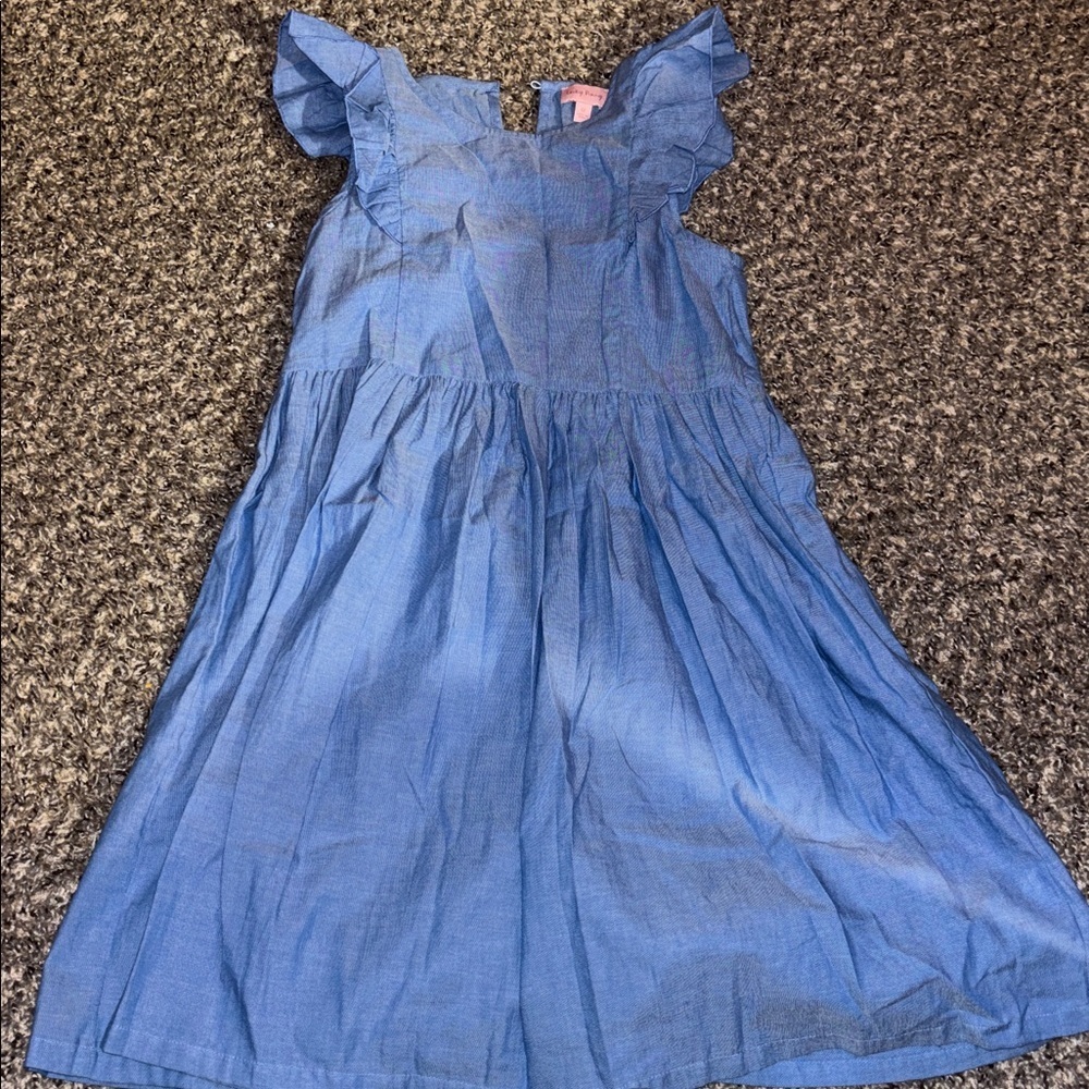 Lucky Penny Blue Dress with Ruffle Sleeves